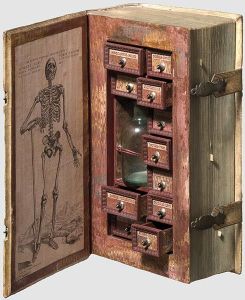 Poison Cabinet or Apothecary's Medicines in a Book? 